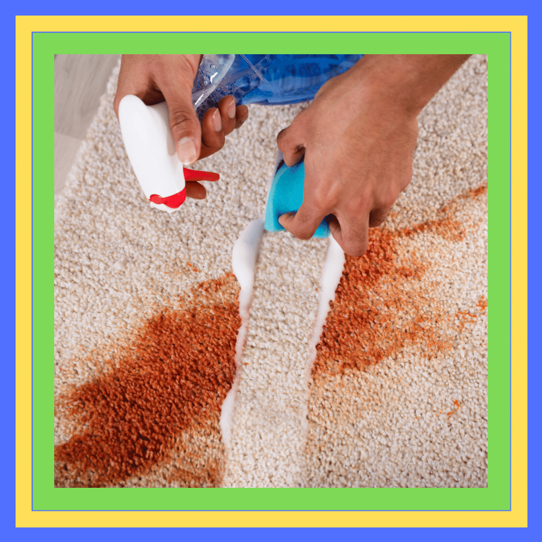 Carpet Stain Removal Coogee