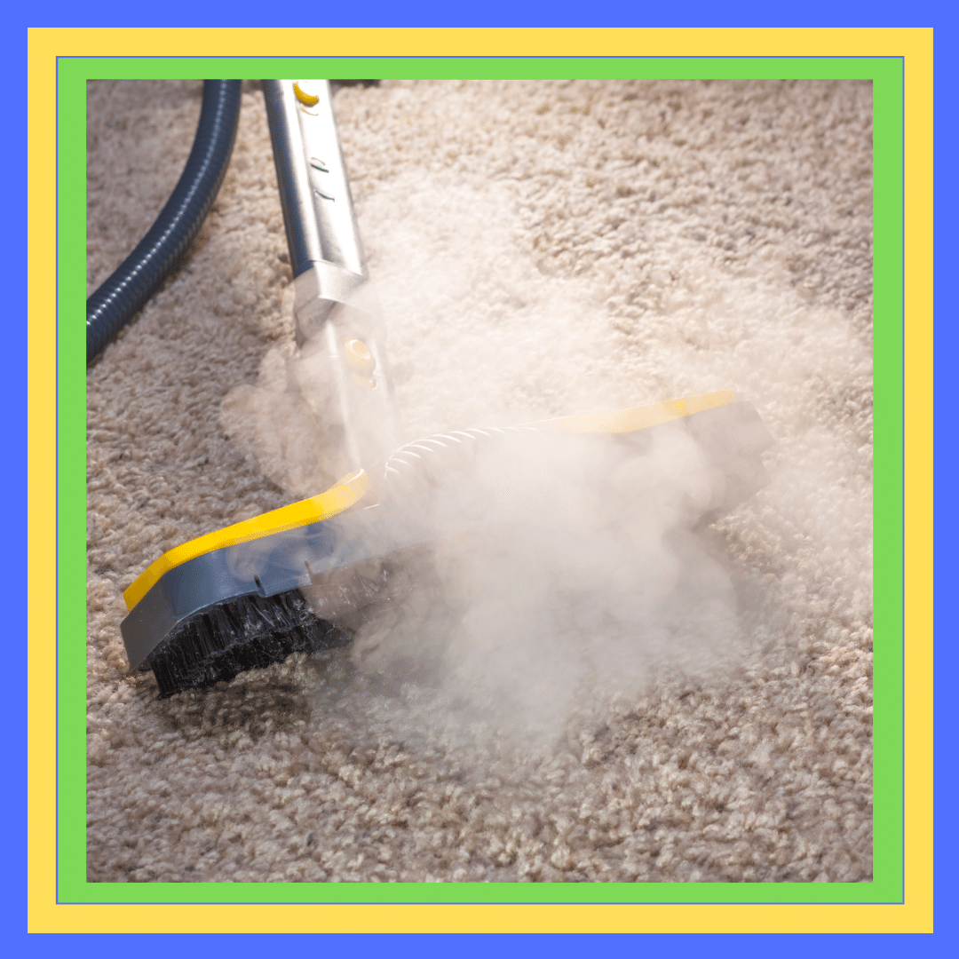 Carpet Steam Cleaning Coogee