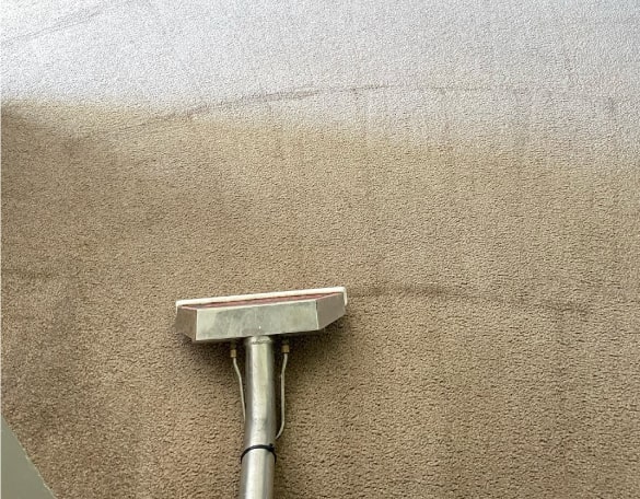 best carpet cleaning coogee